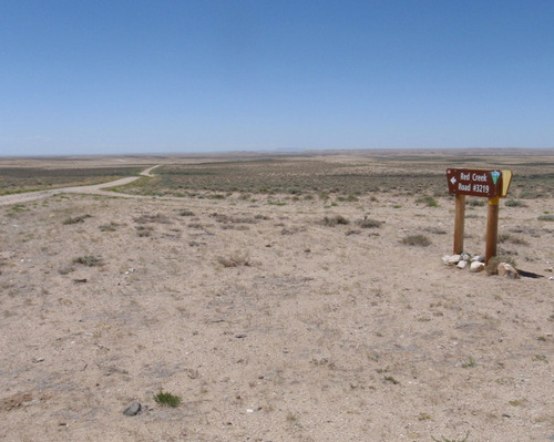 We are looking south down Red Creek Road #3219.